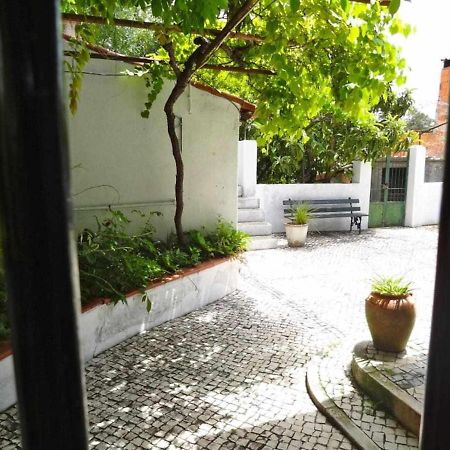 Casa Dos Pocinhos Ferias Tranquilas No Campo Torres Novas Exterior foto