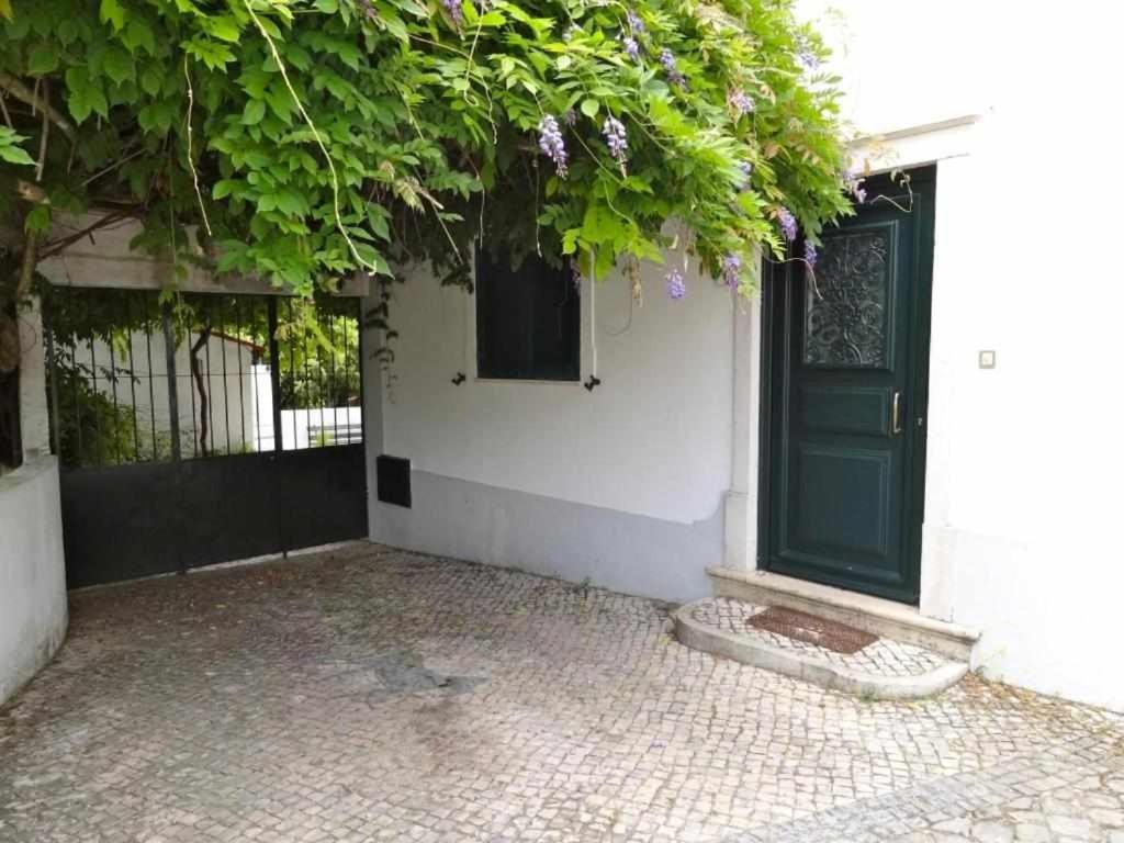 Casa Dos Pocinhos Ferias Tranquilas No Campo Torres Novas Exterior foto