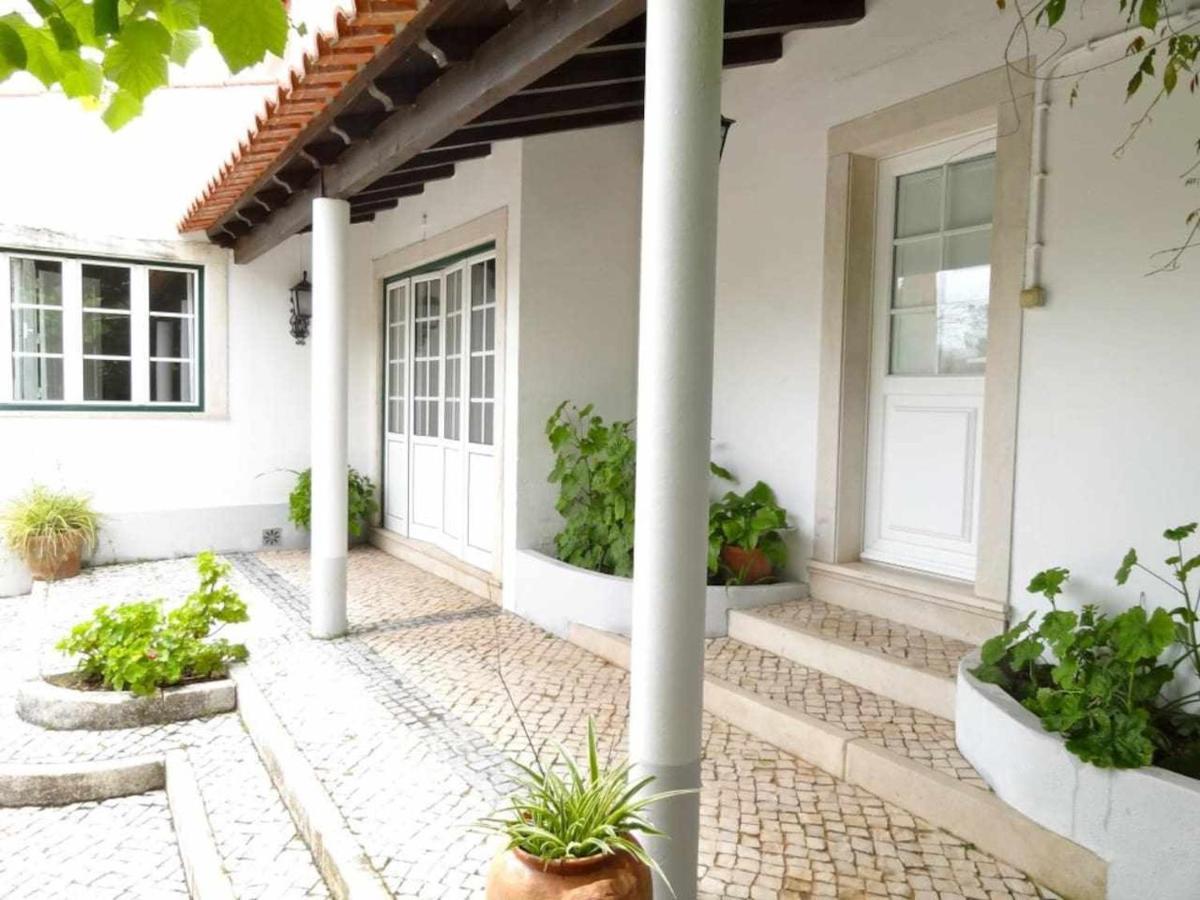 Casa Dos Pocinhos Ferias Tranquilas No Campo Torres Novas Exterior foto