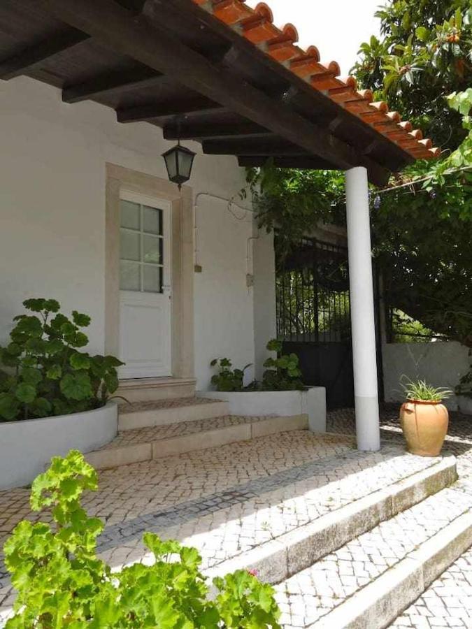 Casa Dos Pocinhos Ferias Tranquilas No Campo Torres Novas Exterior foto