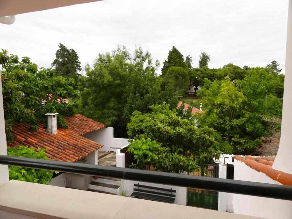Casa Dos Pocinhos Ferias Tranquilas No Campo Torres Novas Exterior foto